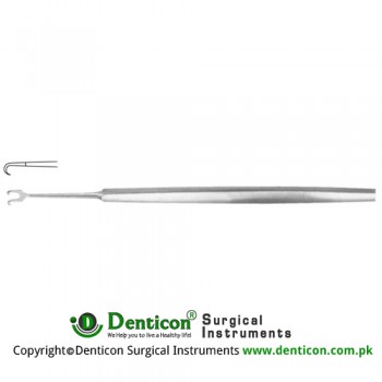 Rollet Fine Wound Retractor 2 Sharp Prongs Stainless Steel, 13 cm - 5" Width 4.5 mm